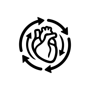 circulation circulation